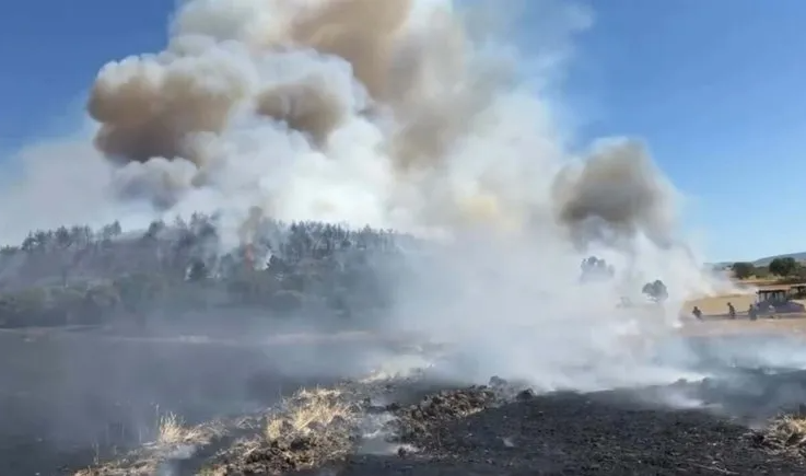 Balıkesir ve İzmir'de orman yangını! Karadan ve Havadan müdahale yapılıyor!