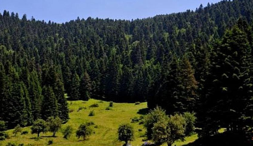 Konya'da Ormanlık Alanlara Girişler Yasaklandı!