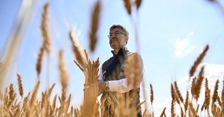 Bakan Yumaklı: Ülkemizde Yerli tohumla ekmeklik buğday yetiştirildi!