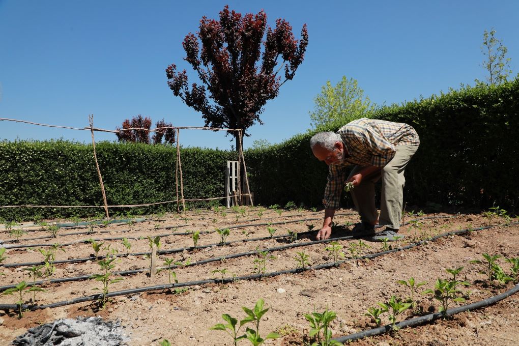 Karatay Hobi Bahçelerinde Sezon Başladı! Ata Tohumları Toprakla Buluştu!