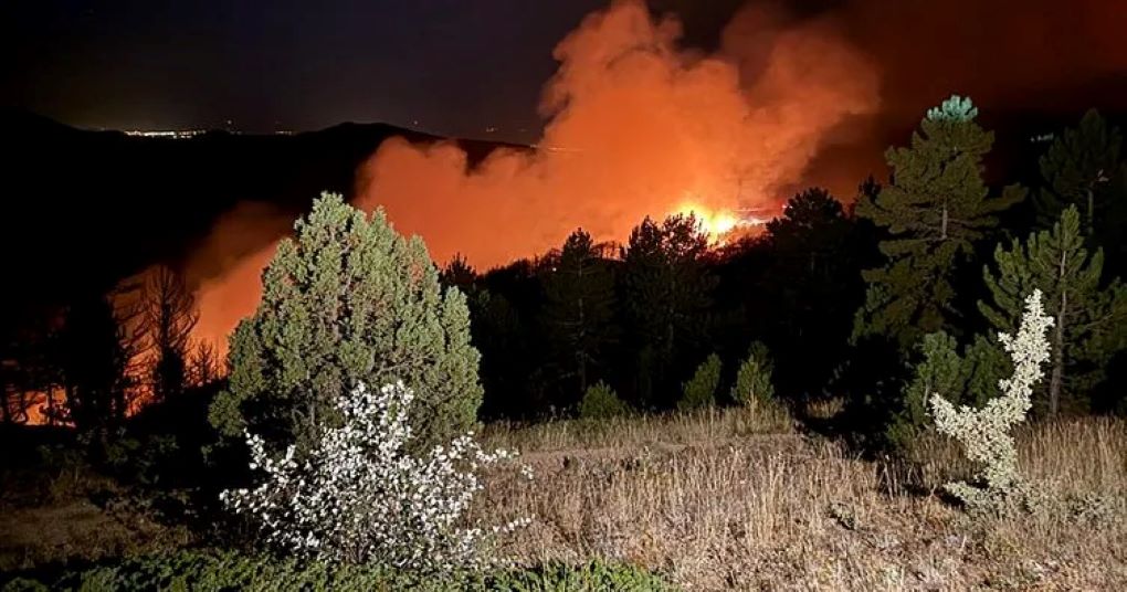 Konya Doğanhisar’da Orman Yangını! Sorumlusu 15 Yaşındaki Bir Çocuk Çıktı!