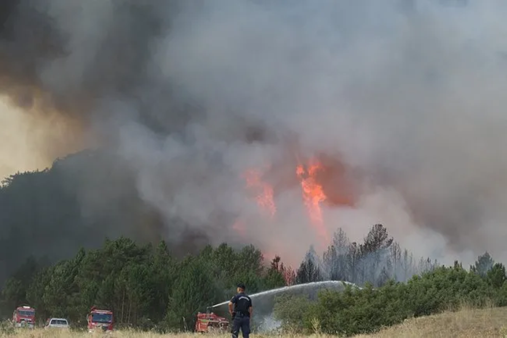 Eskişehir’de Orman Yangını Faciası! 11 Vatandaşımız Şehit Oldu!