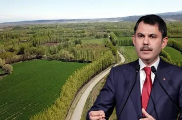 Bakan Kurum duyurdu: Hazine arazileri ekonomiye kazandırılıyor