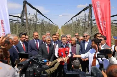 Bakan Yumaklı’dan Niğde’de Zirai Don Mağdurlarına Destek Sözü!