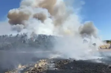 Balıkesir ve İzmir'de orman yangını! Karadan ve Havadan müdahale yapılıyor!