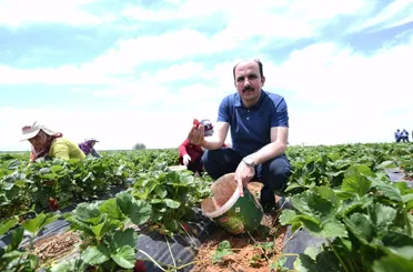 Başkan Altay: “Hüyük Çileği, AB Tescili Alan Konya’mızın İlk Ürünü Oldu, Hayırlı Olsun”