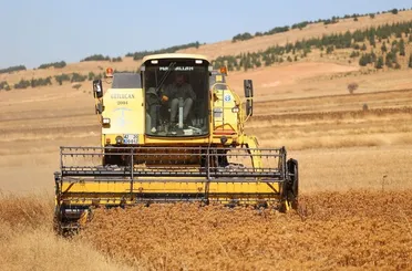 Büyükşehir Destekliyor, Konyalı Çiftçinin Yüzü Gülüyor