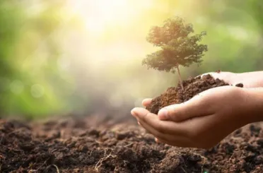 Daha Yeşil Bir Konya İçin Binlerce Fidan Dağıtımı Yapılacak!