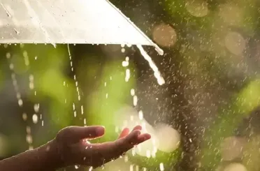 Gökten Yağan Şifa :'Nisan Yağmuru'