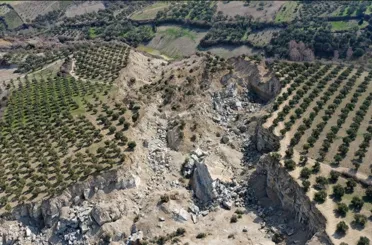 İkiye bölünen zeytinliğin bulunduğu bölge için kritik uyarı