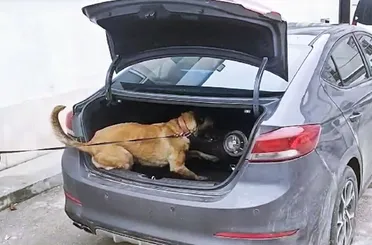 Konya Emniyeti’nden zehir tacirlerine bir darbe daha