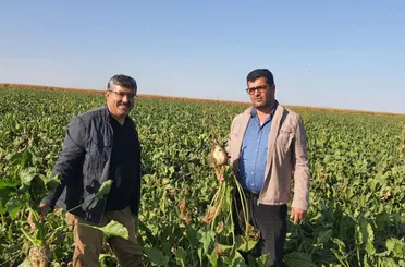 Konya Ovası’nda pancar mesaisi başladı