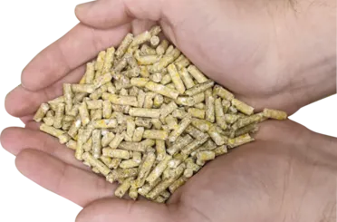 Konya Şeker Yem'den Bir İlk: Enerjim +