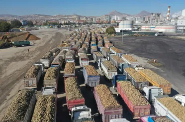 Konya Şeker’den ‘6 Milyar 272 Milyon 593 Bin TL’ Pancar Bedeli Ödemesi!