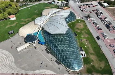 Konya Tropikal Kelebek Bahçesi Yaz Döneminde Rekor Ziyaretçi Ağırladı