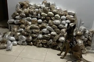 Konya'da nakliye kamyonundan 190 kg uyuşturucu çıktı