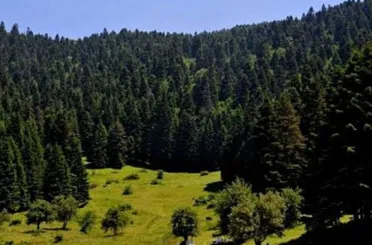 Konya'da Ormanlık Alanlara Girişler Yasaklandı!