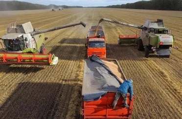 Konya'da tarım arazisi 2023 yılında genişledi!