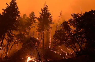 Konya'nın gözbebeğini yaktılar!