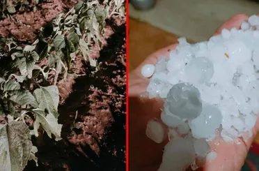 Konya’nın Kadınhanı ilçesini dolu vurdu