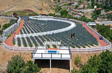 Meram Dere Lavanta Bahçesi Ziyaretçilerine Görsel Şölen Sunuyor