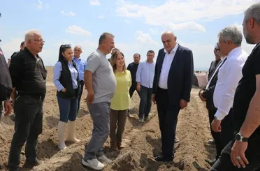 Patateste Yerli Tohum Hamlesi: Başkan Erkoyuncu Ekim Alanında İncelemelerde Bulundu