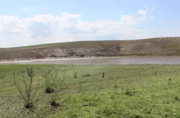 Sağanak Yağışlar Bazı Tarım Arazilerini Vurdu