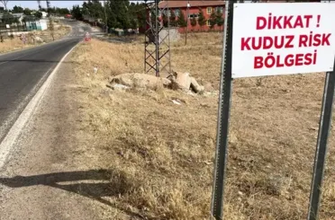 Şanlıurfa'da Kuduz Köpek 4 Kişiyi Isırdı! 2 Mahalle Karantinaya Alındı!