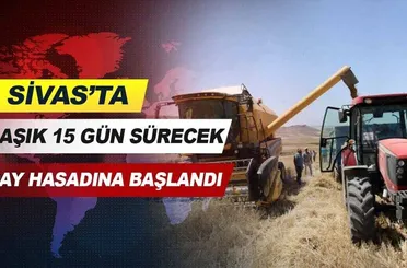 Sivas'ta, yaklaşık 15 gün sürecek buğday hasadına başlandı.