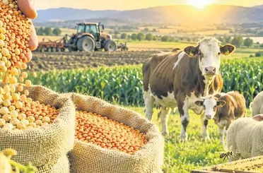 Tarım Desteklerinde Yeni Rakamlar Belli Oldu: Çiftçiye Ödeme Artıyor!