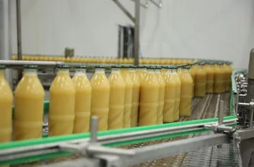 Torku’dan Meyve Suyunda Bir İlk! Gerçek Sıkma İşlemi Uygulanıyor!