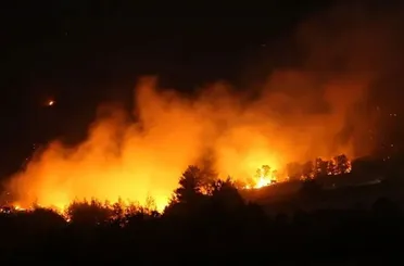 Türkiye Orman Şehitlerine Ağlıyor!