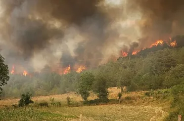 Türkiye Yeşil Vatan için Alarmda! Orman Yangınlarında Son Durum!