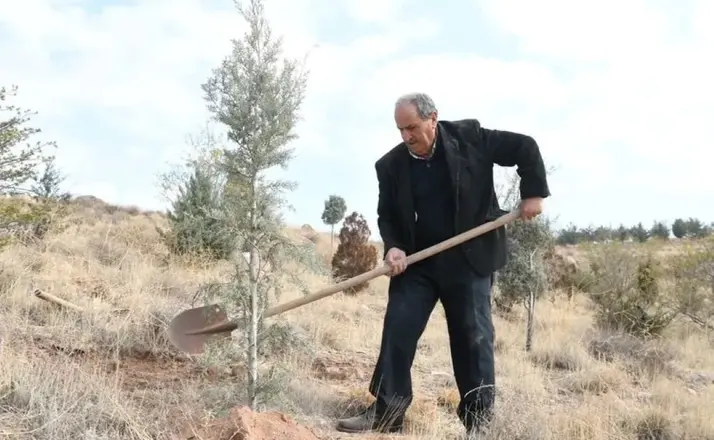 Aksaray'da Çorak Araziler Ormana Dönüşüyor! 