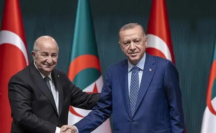 Cumhurbaşkanı Erdoğan İle Cezayir Cumhurbaşkanı Tebbun Görüştü