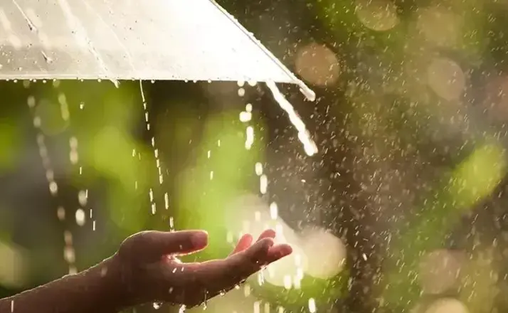 Gökten Yağan Şifa :'Nisan Yağmuru'
