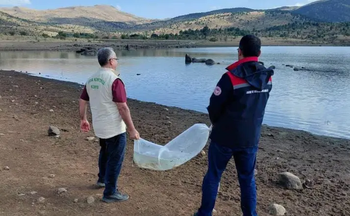 Konya’da su kaynakları için seferberlik: 10 bin sazan yavrusu gölete bırakıldı