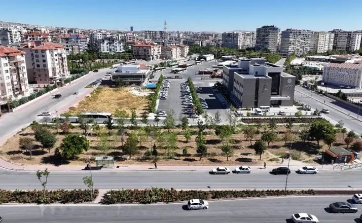 Konya’da Tramvay Çalışmalarında Dikkat Çeken Uygulama: Ağaçlar Kökleriyle Birlikte Taşınıyor”