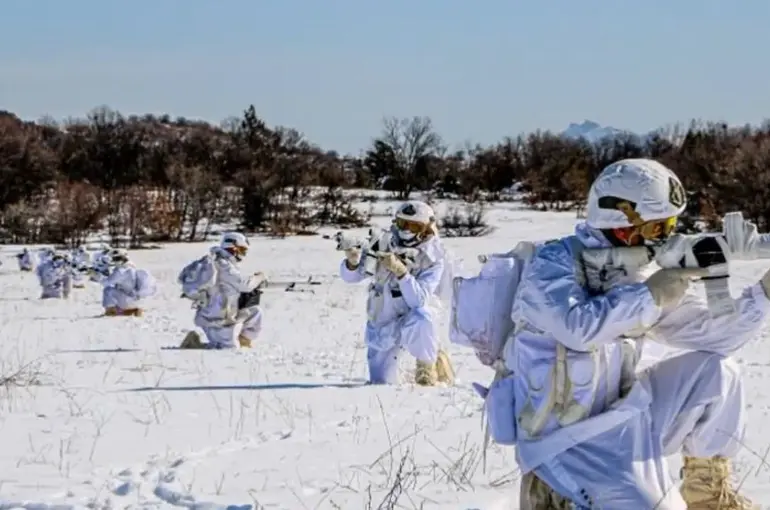 2024 Yılında PKK/KCK'ya ‘GÜRZ’ Operasyonu! 709 Adet Mağara ve Sığınak İmha Edildi!