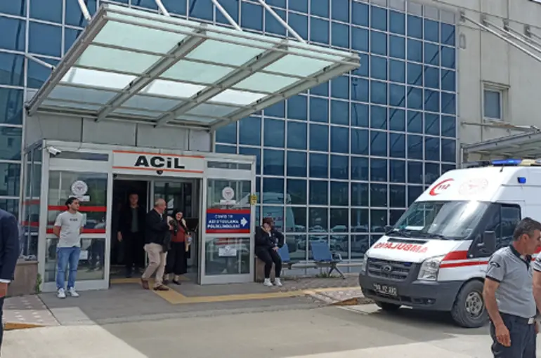 Ağaç keserken canından oldu