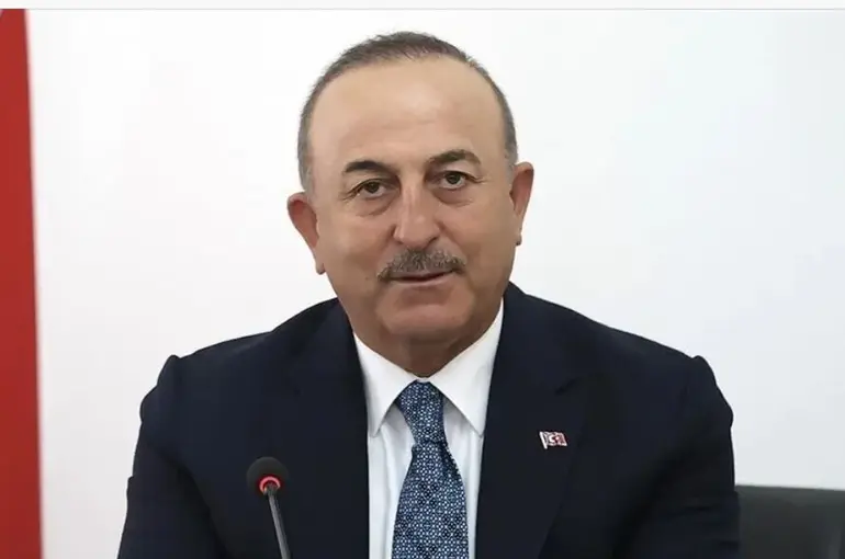 Bakan Çavuşoğlu:"Cumhurbaşkanı Erdoğan’ın oy oranı yüzde 52-53"