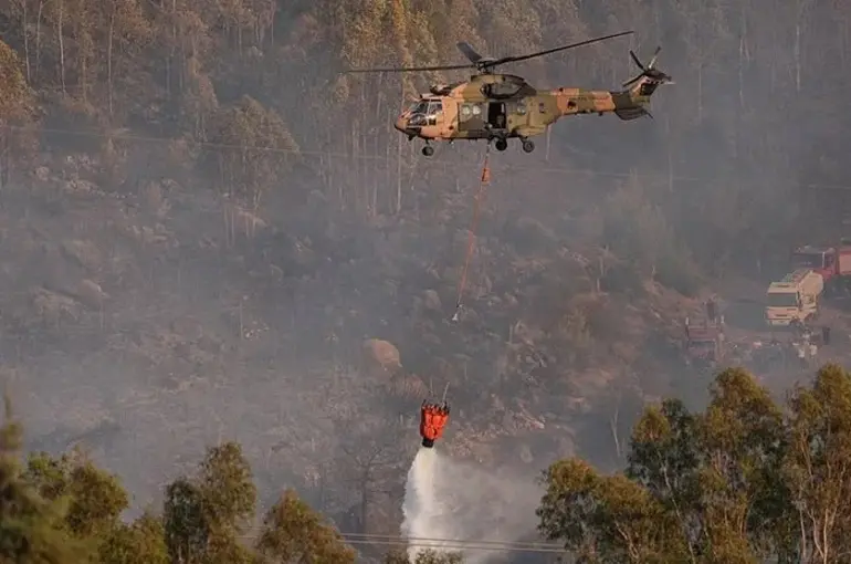 Bakan İbrahim Yumaklı: 5 günde 306 orman yangını söndürüldü!