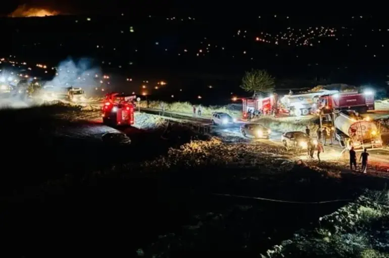 Bakan Yumaklı, Diyarbakır ve Mardin'deki anız yangınının çıkış sebebini açıkladı!