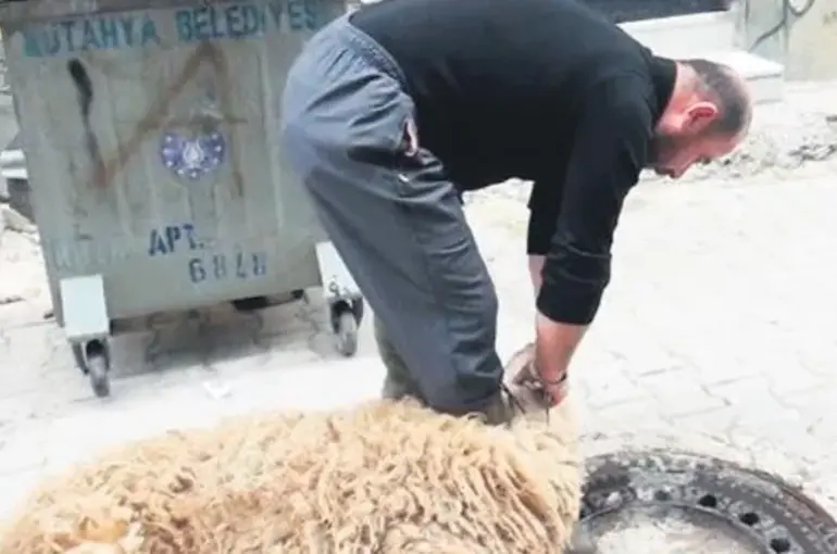 Çevre Bakanlığından uyarı! Sokakta kurban kesene 4 bin 810 lira ceza!