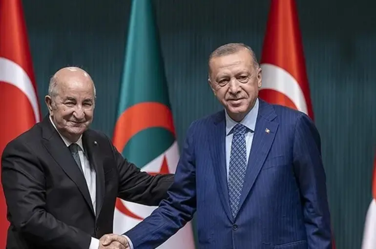 Cumhurbaşkanı Erdoğan İle Cezayir Cumhurbaşkanı Tebbun Görüştü