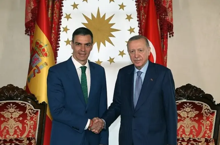 Cumhurbaşkanı Erdoğan: İspanya, Gazze’deki Soykırıma Karşı Onurlu Bir Duruş Sergiledi