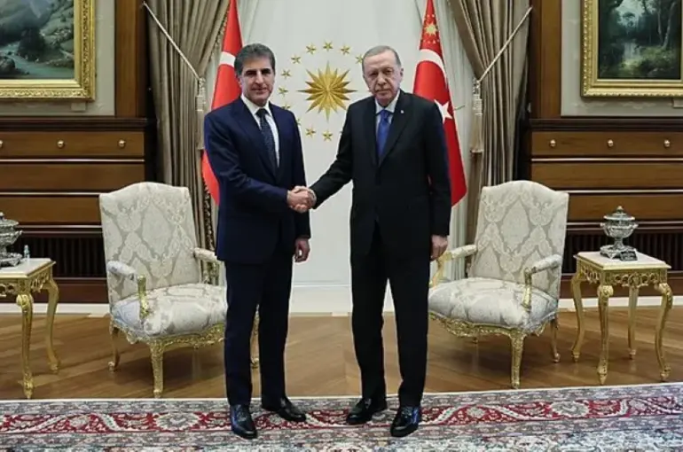 Cumhurbaşkanı Erdoğan Neçirvan Barzani ile görüştü!