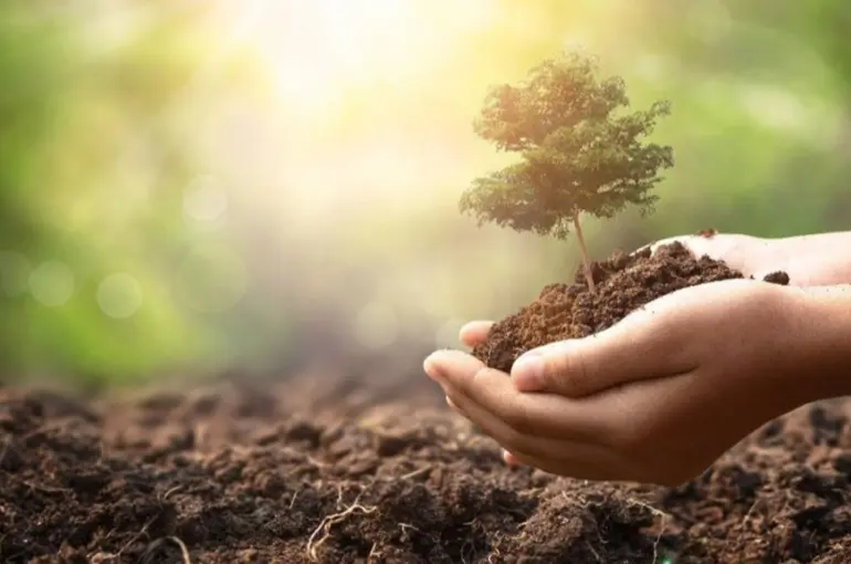 Daha Yeşil Bir Konya İçin Binlerce Fidan Dağıtımı Yapılacak!