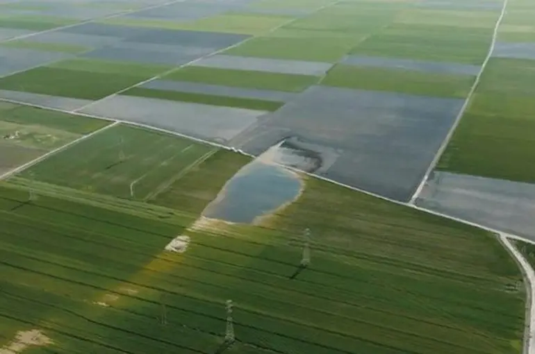 Depremin büyüklüğünü fay hattının kırıklığı gözler önüne serdi: Deprem sonrası bataklık gölü oluşmuş