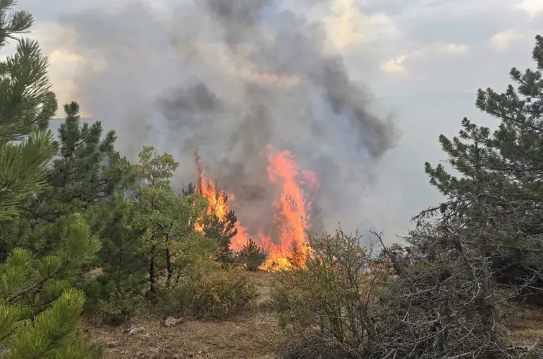 Derbent’teki Orman Yangını Kontrol Altına Alındı!